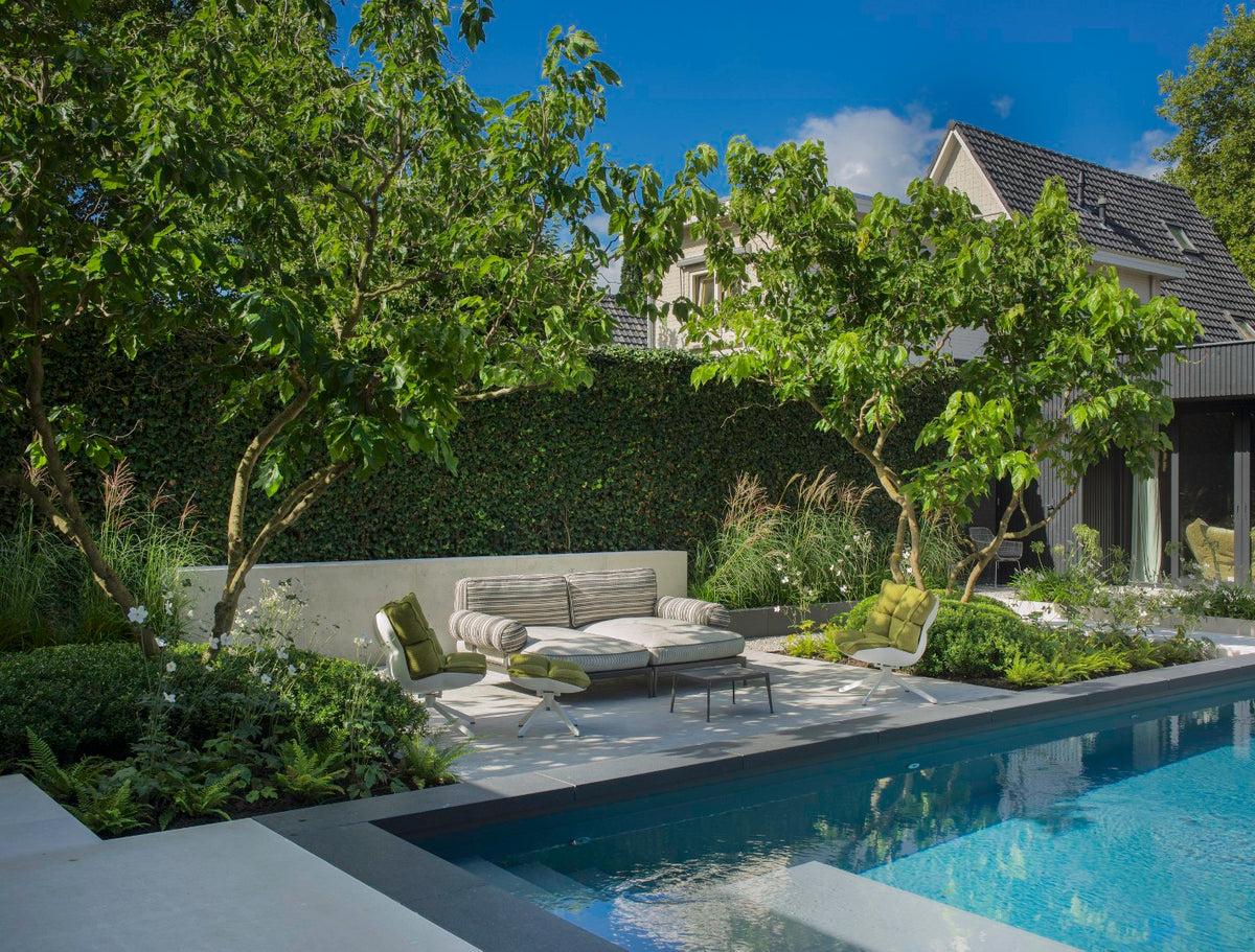 City Wellness