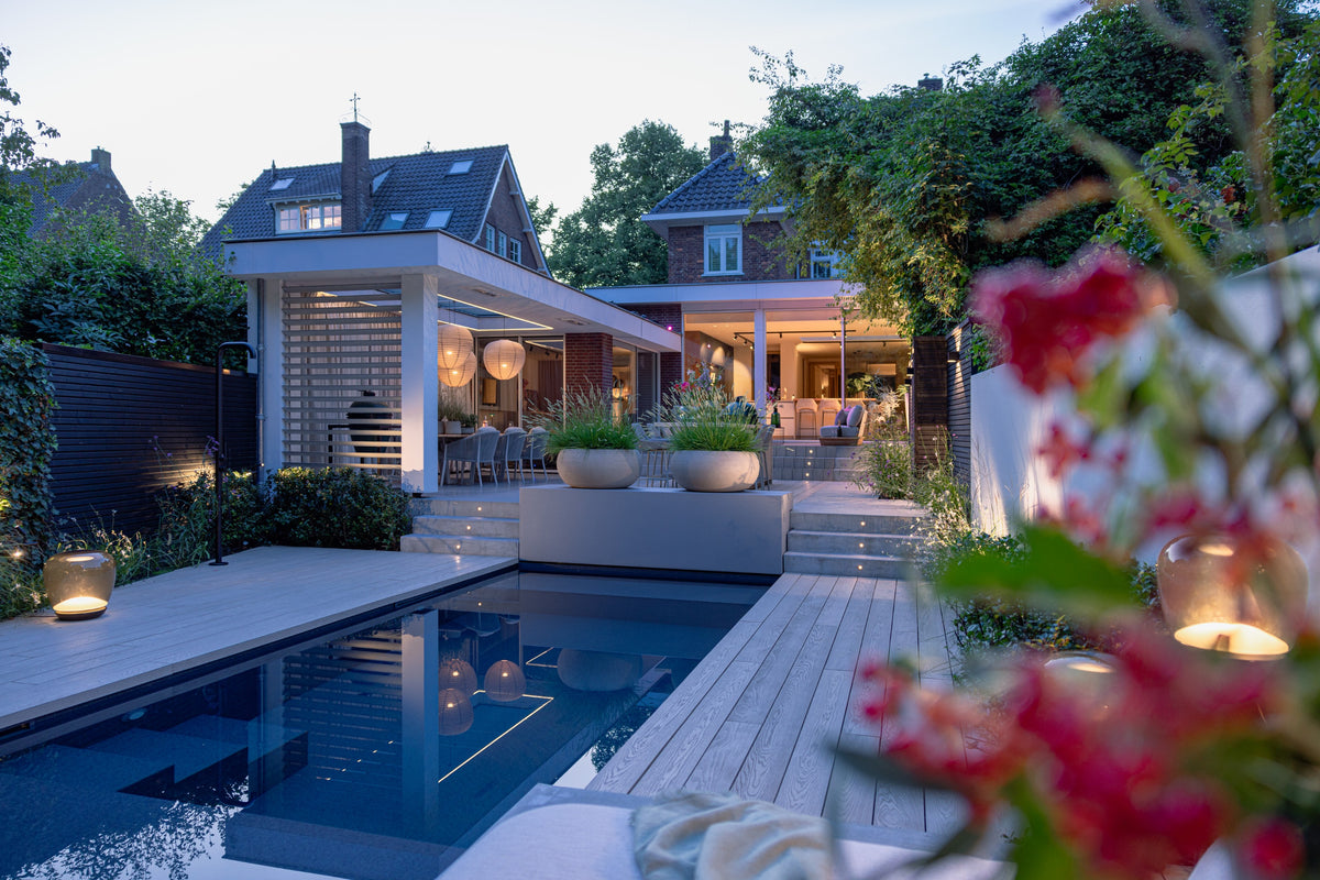 Elevated Wellness