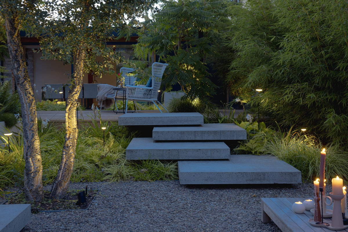 Jungle Garden