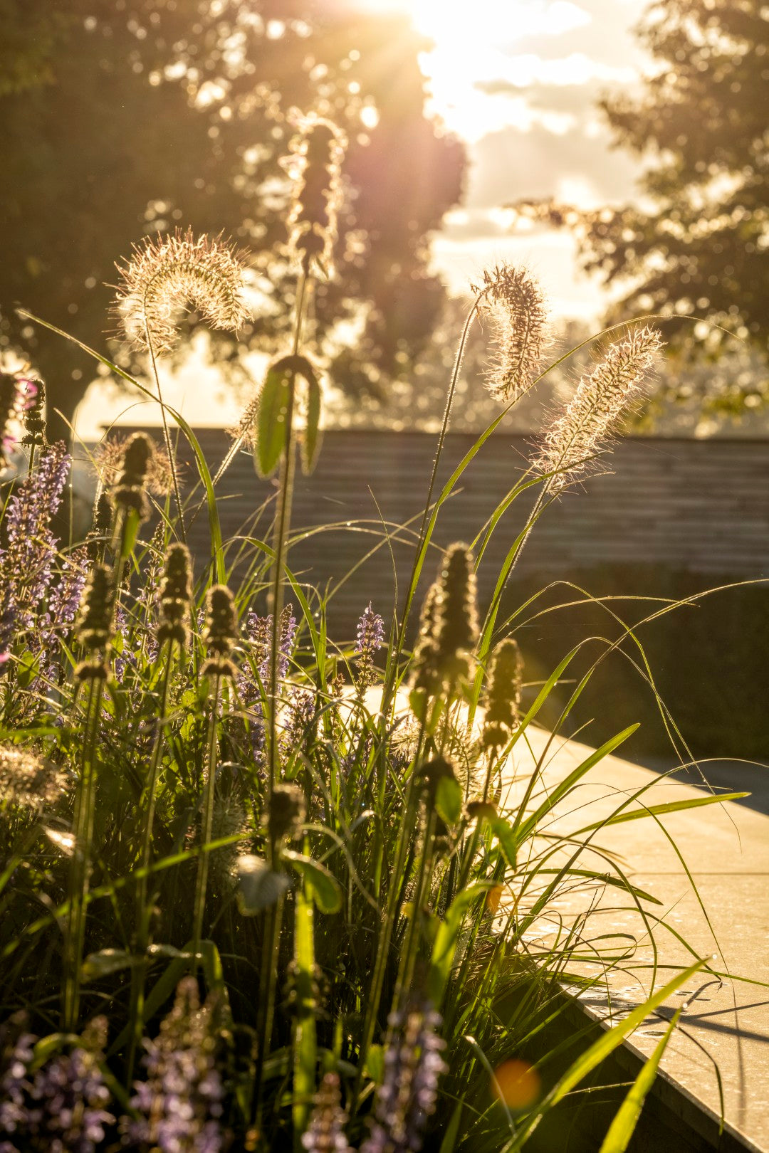 Lucid Luxury Garden