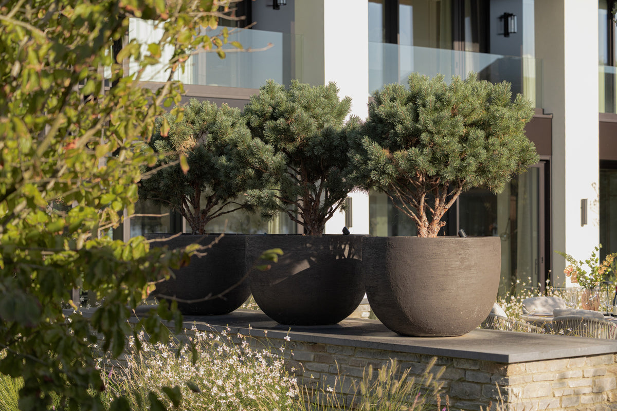 Cozy Ibiza Meets Robust