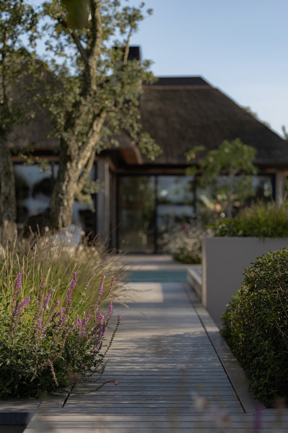 Cozy Ibiza Meets Robust