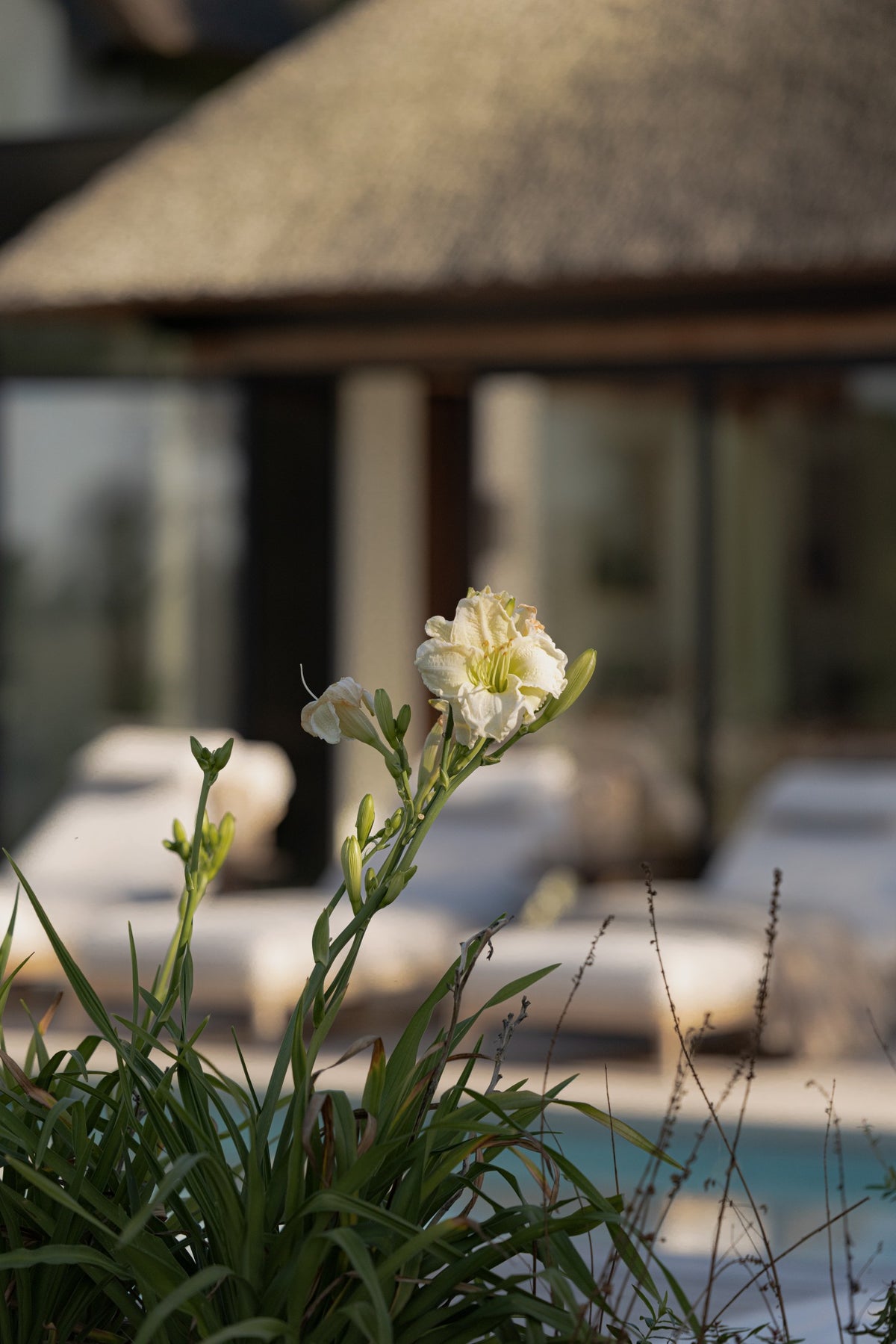 Cozy Ibiza Meets Robust