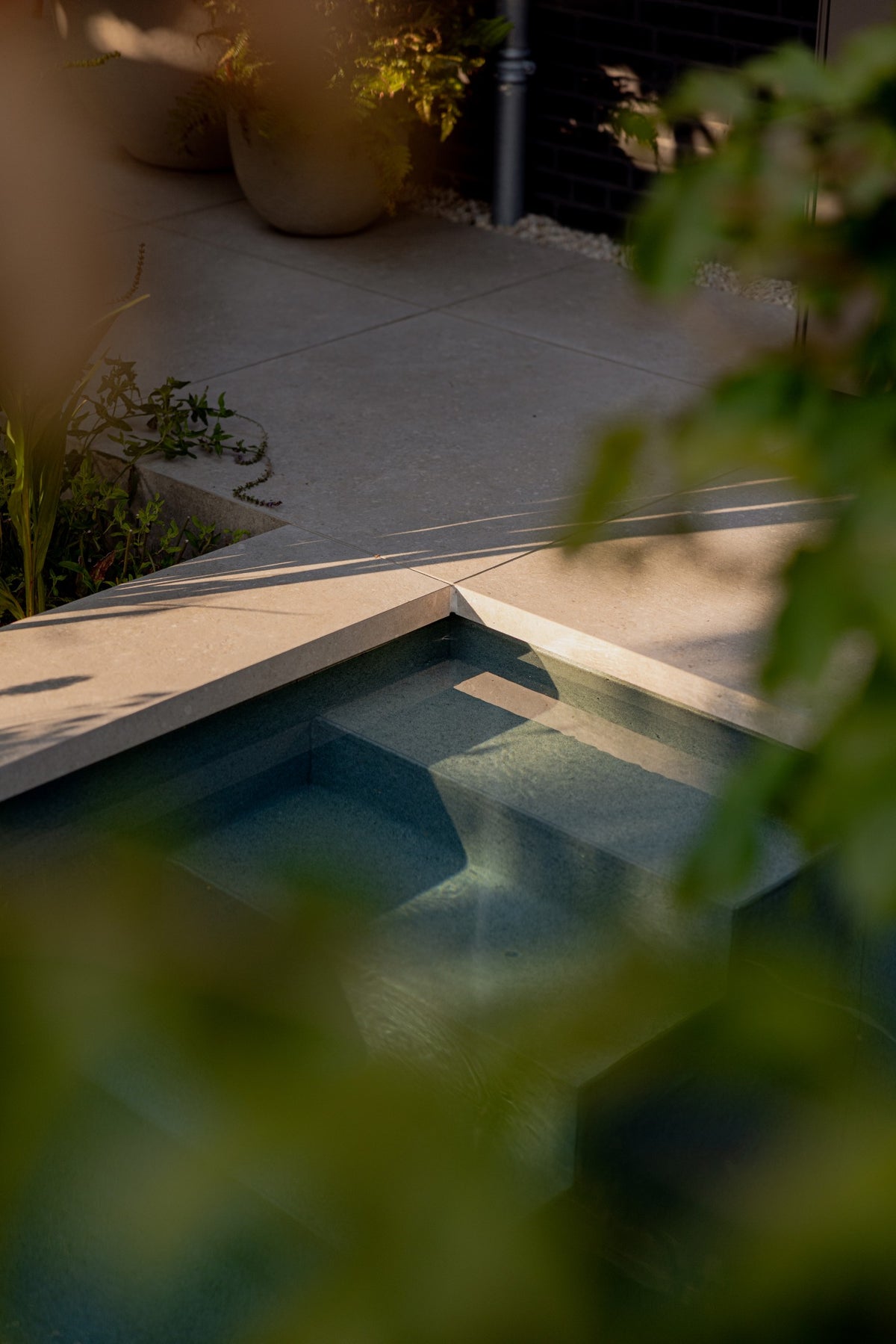 Urban Oasis