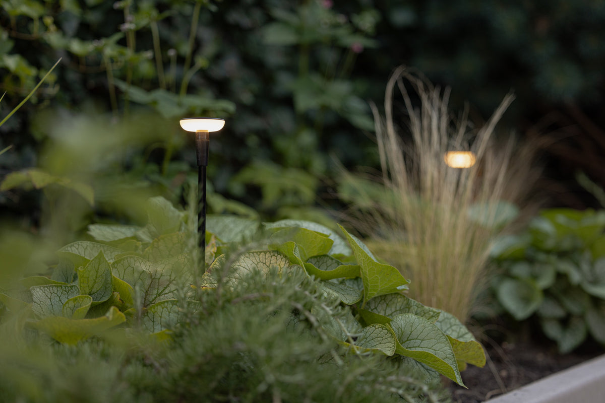 Urban Oasis