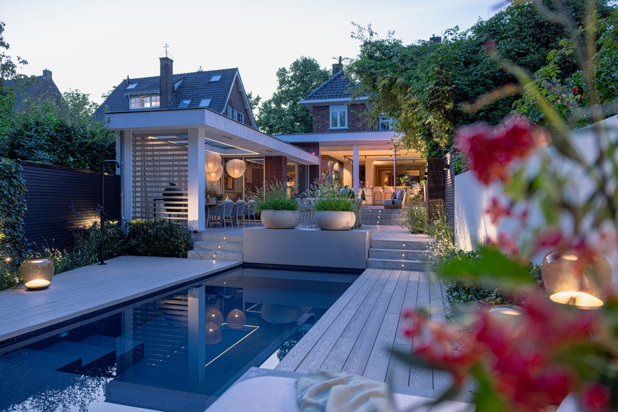 Elevated Wellness