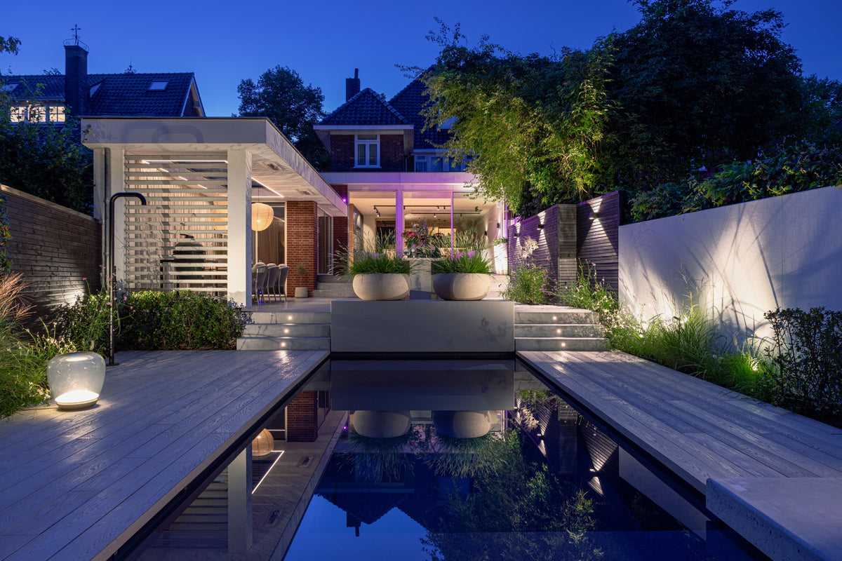 Elevated Wellness