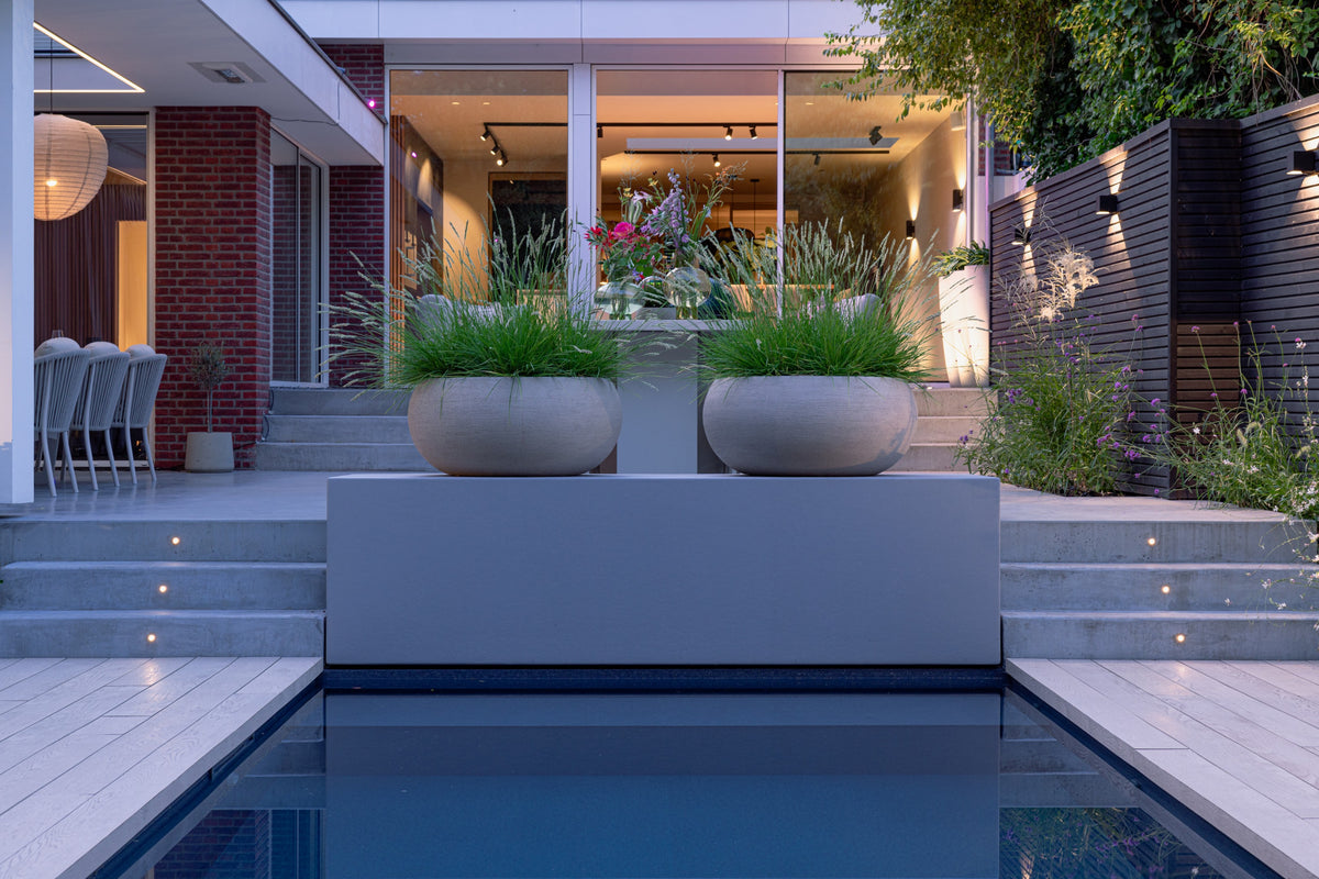 Elevated Wellness
