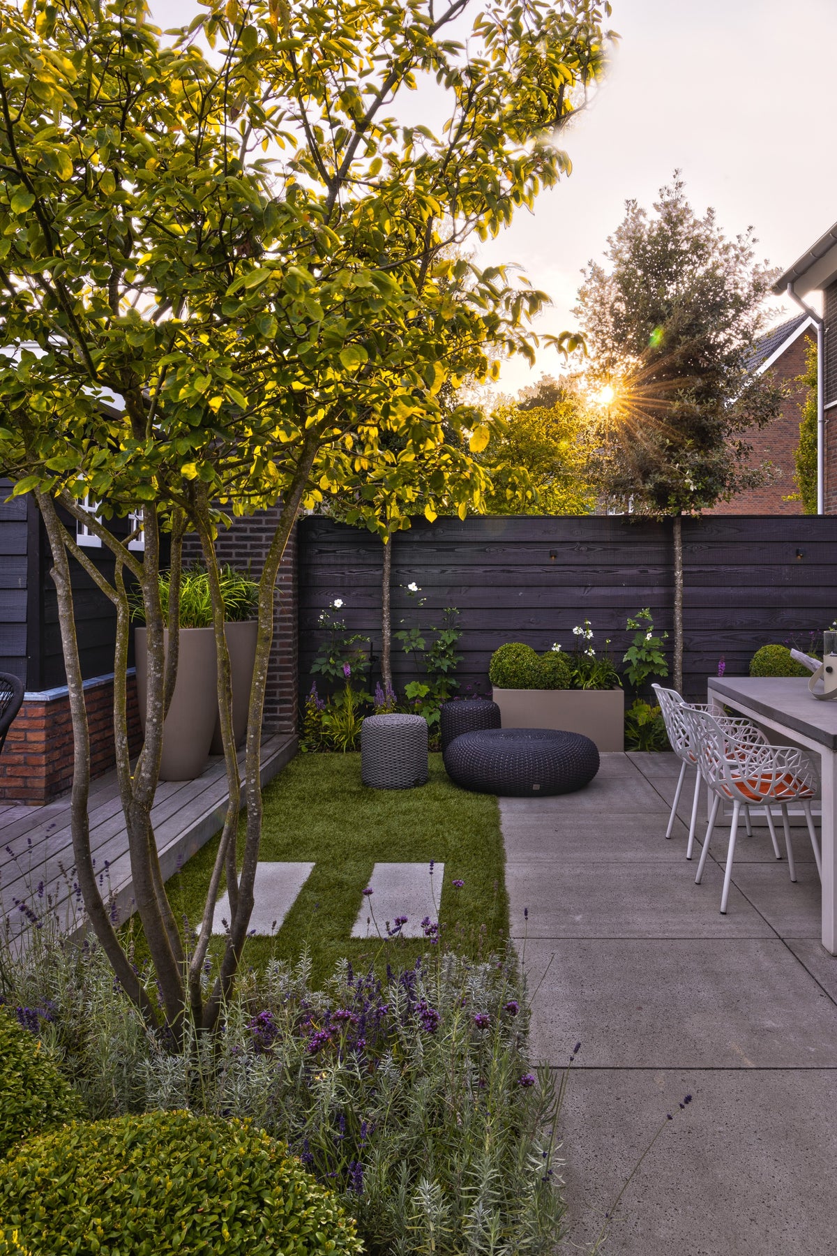 Green and Cozy