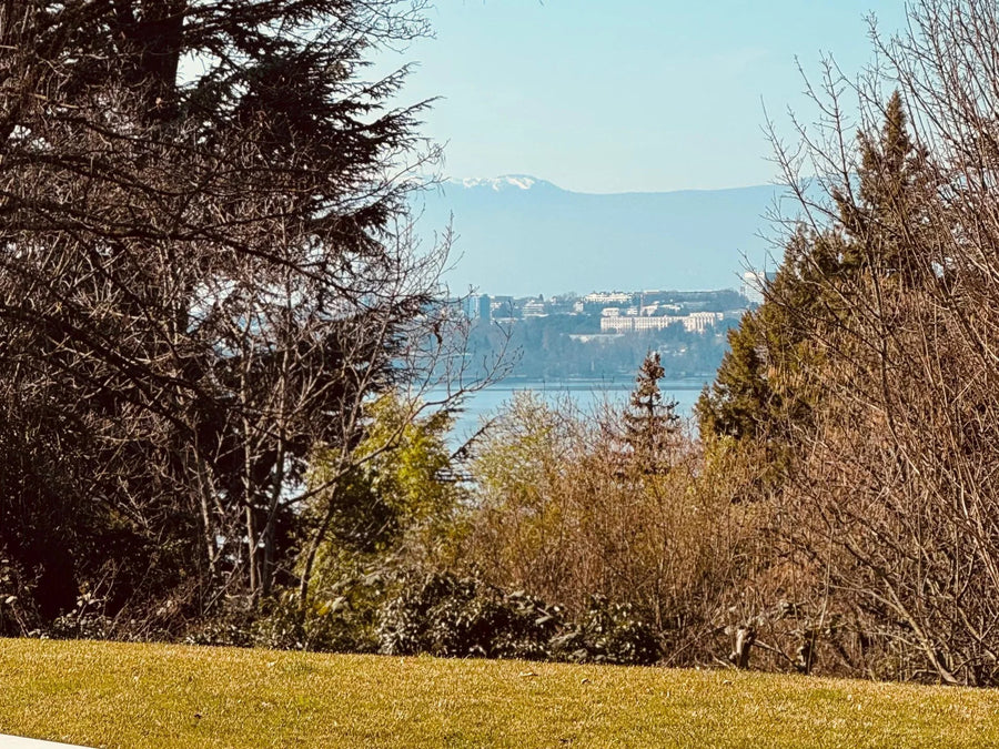Genève | Samenwerking Eric Kuster