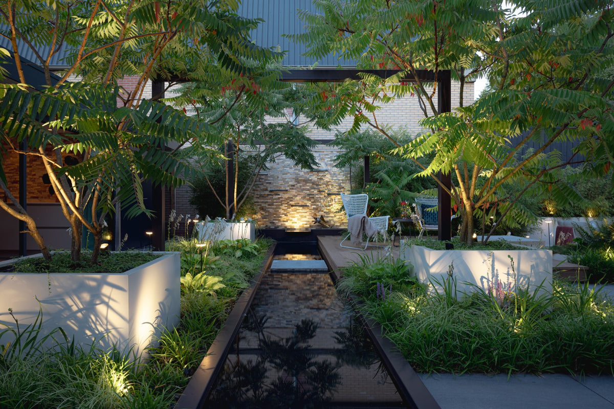 Jungle Garden