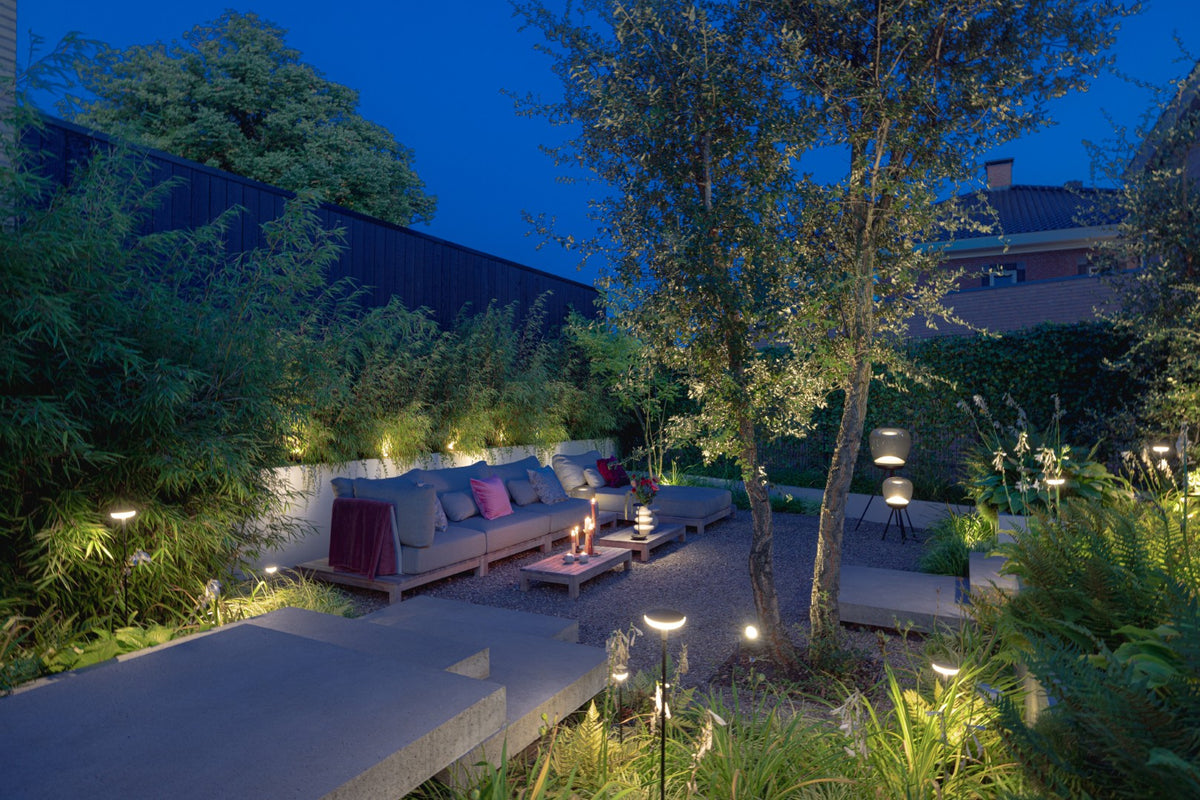 Jungle Garden