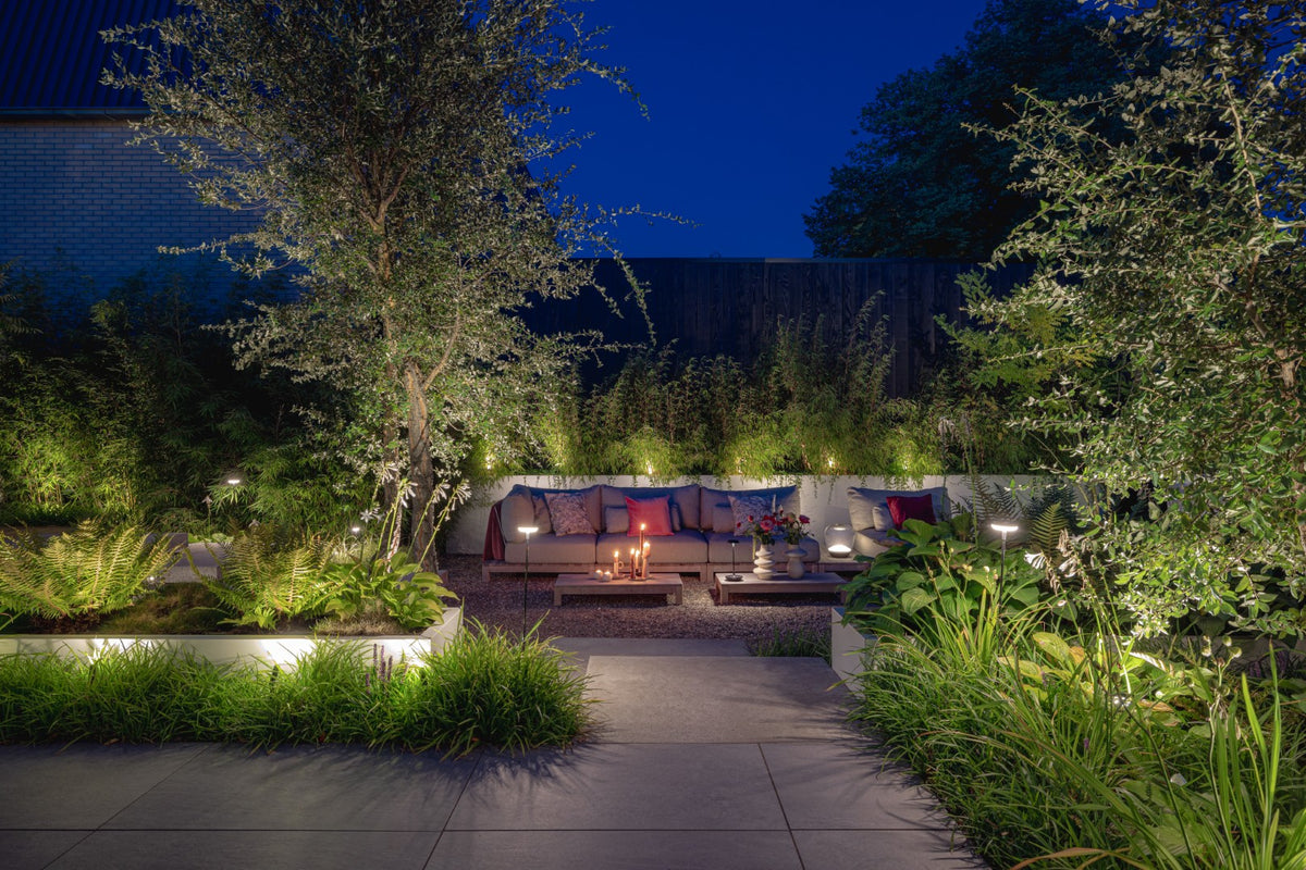 Jungle Garden
