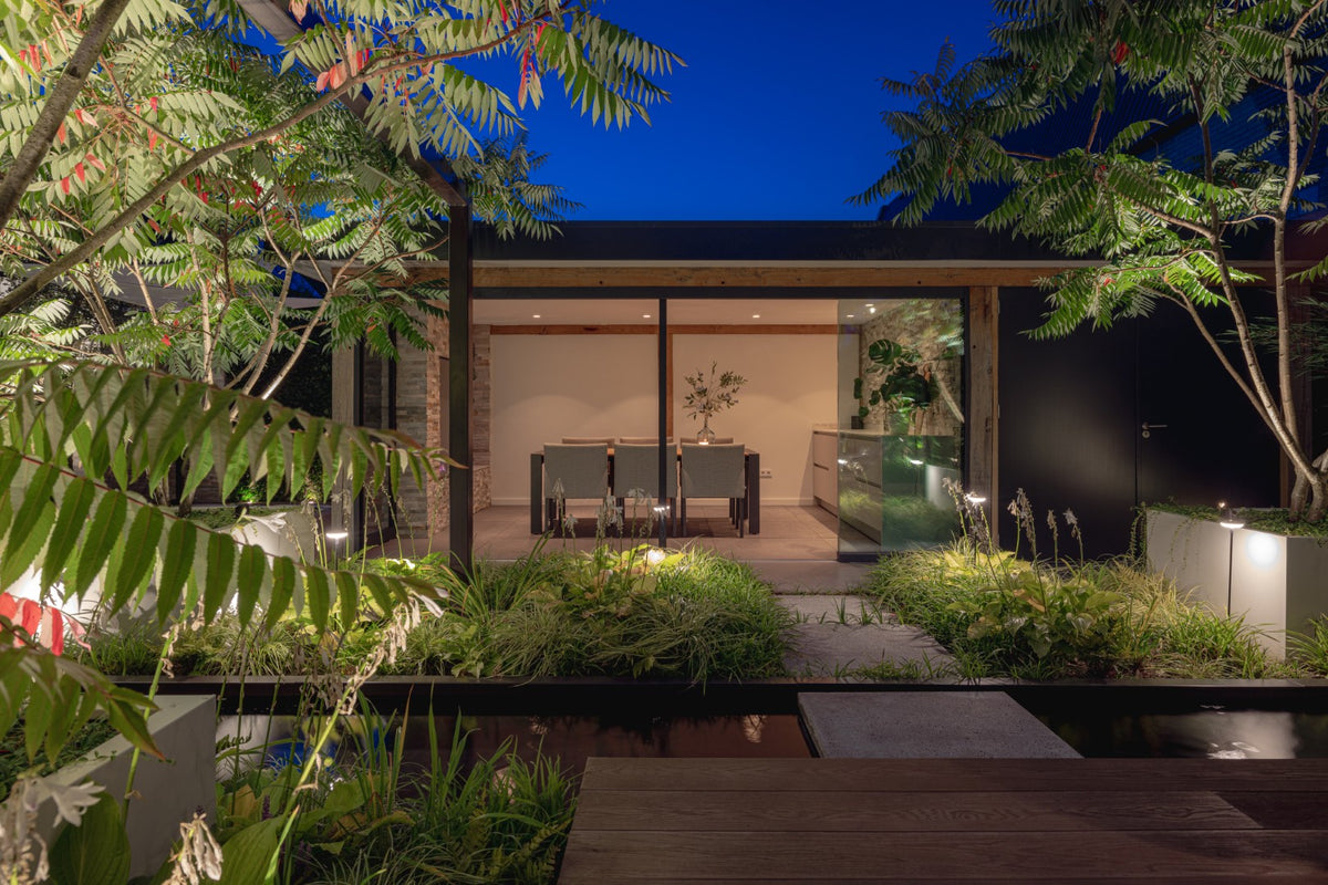 Jungle Garden