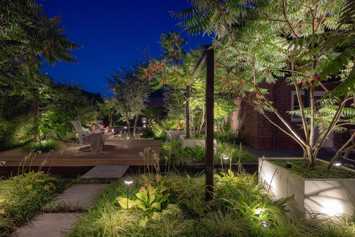 Jungle Garden