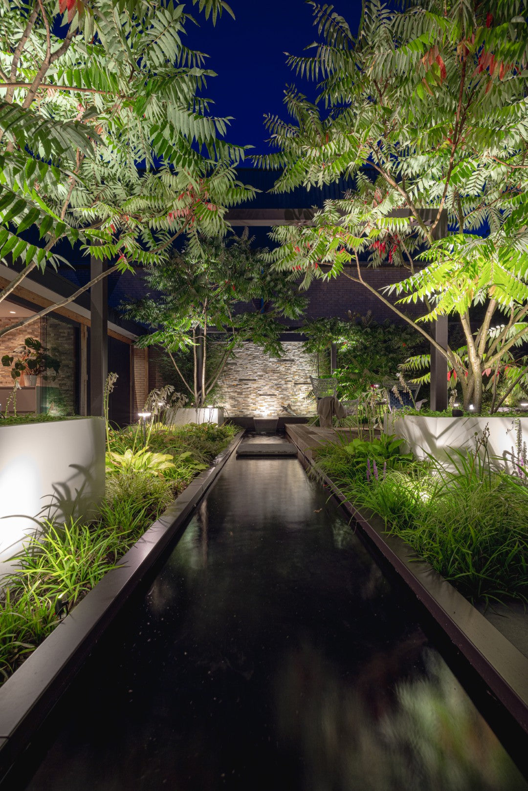 Jungle Garden
