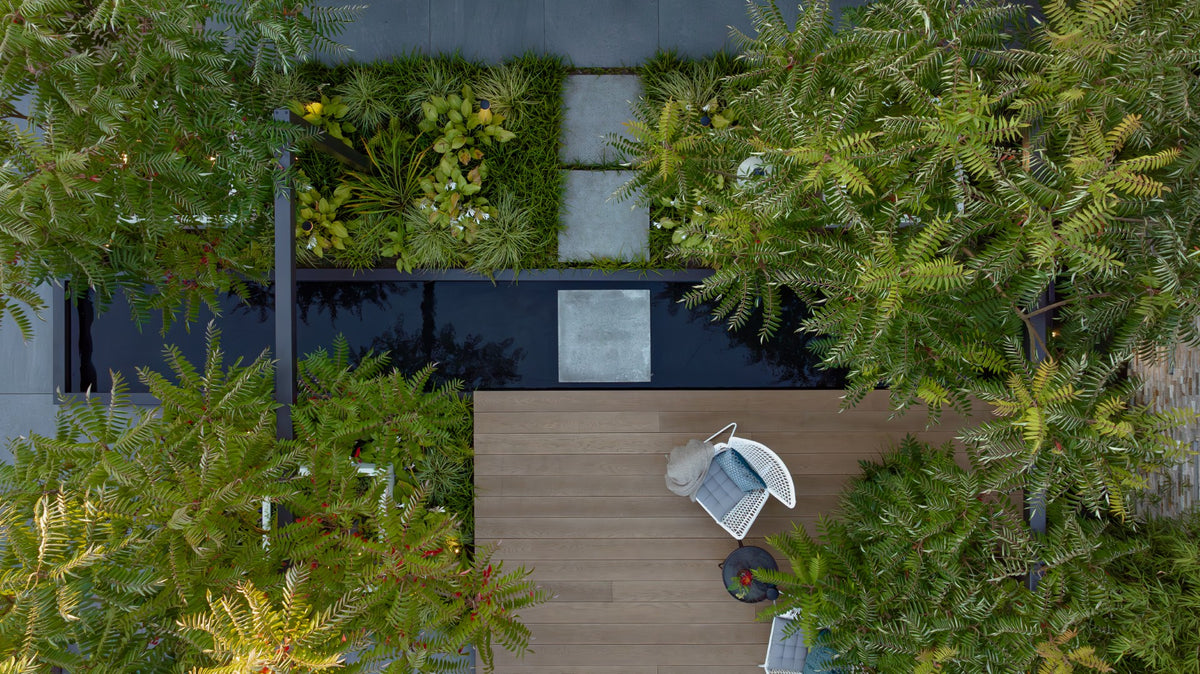 Jungle Garden