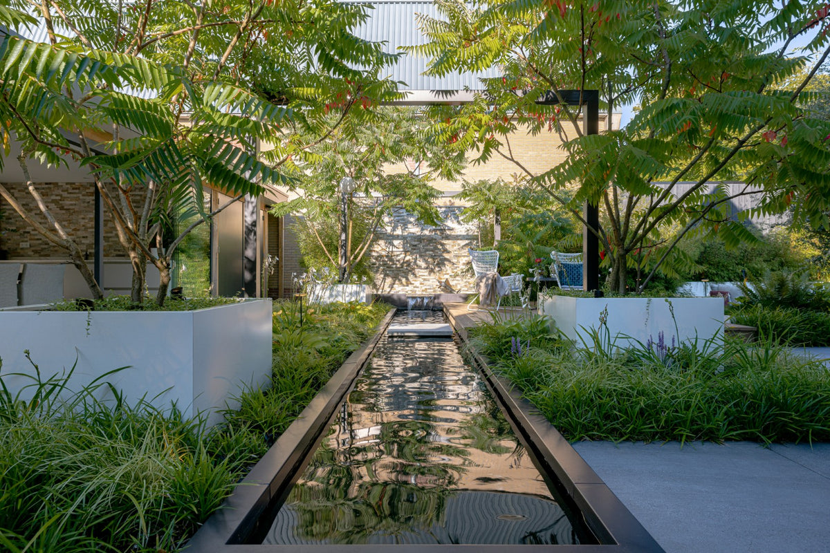 Jungle Garden