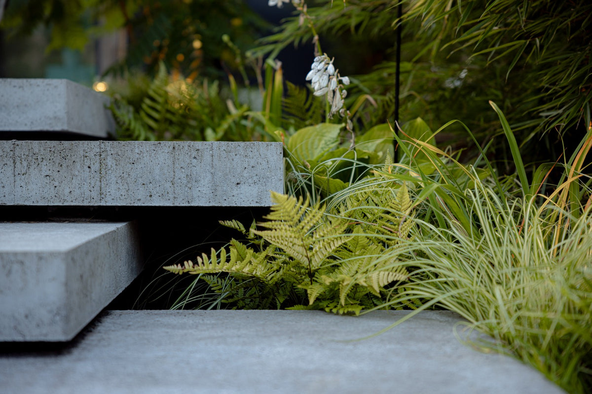 Jungle Garden