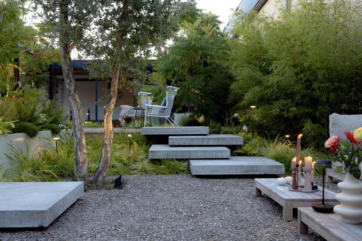 Jungle Garden
