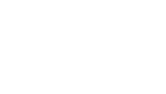 The Art of Living logo