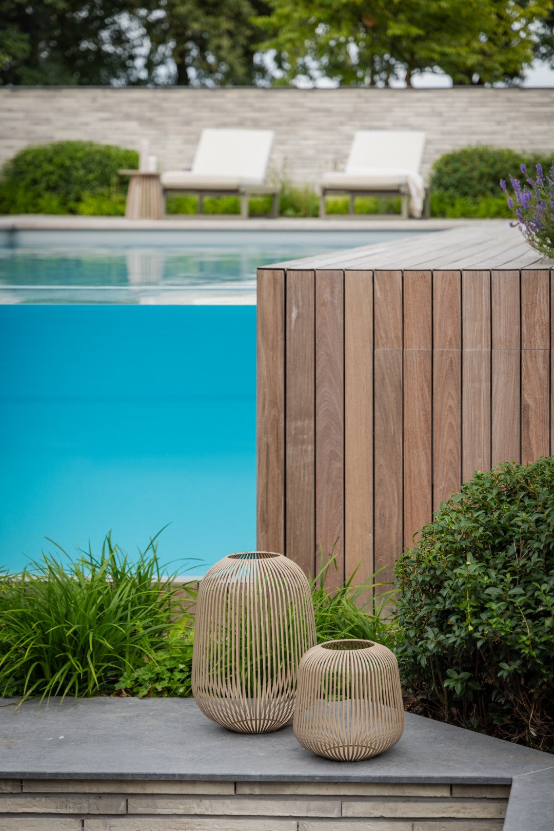 Lucid Luxury Garden