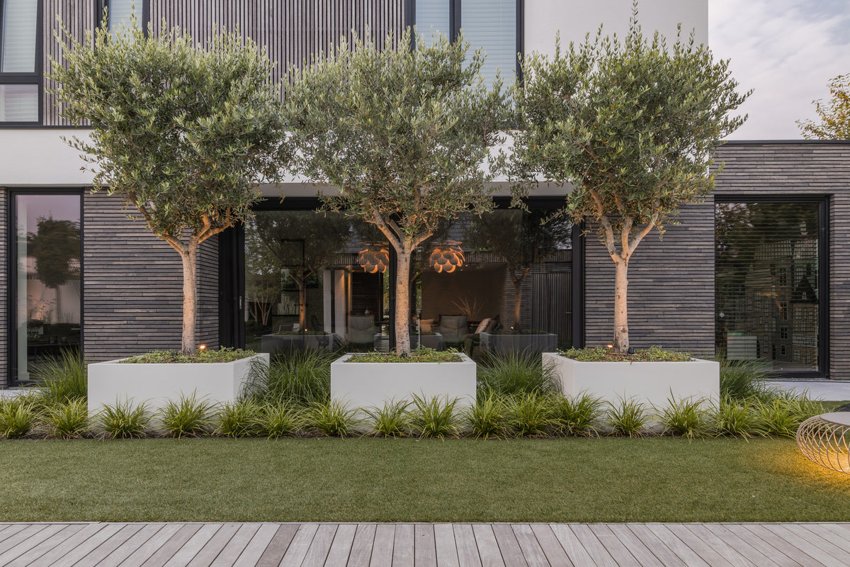 Pearl Garden