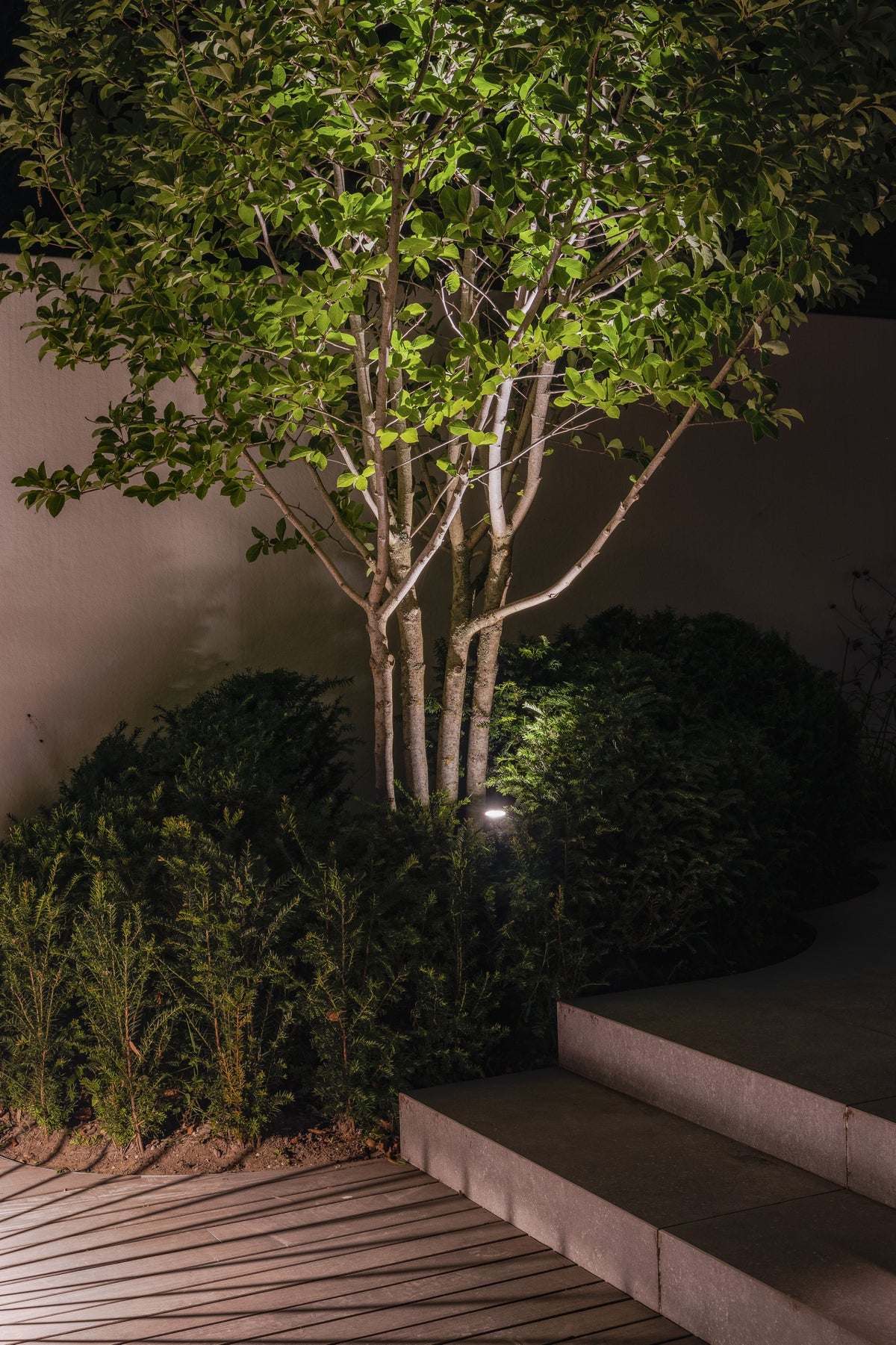 Pearl Garden