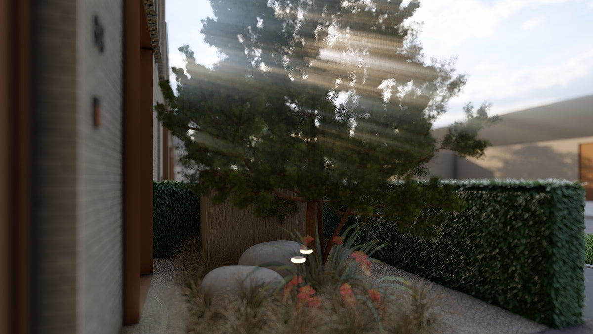 Sheltered Light