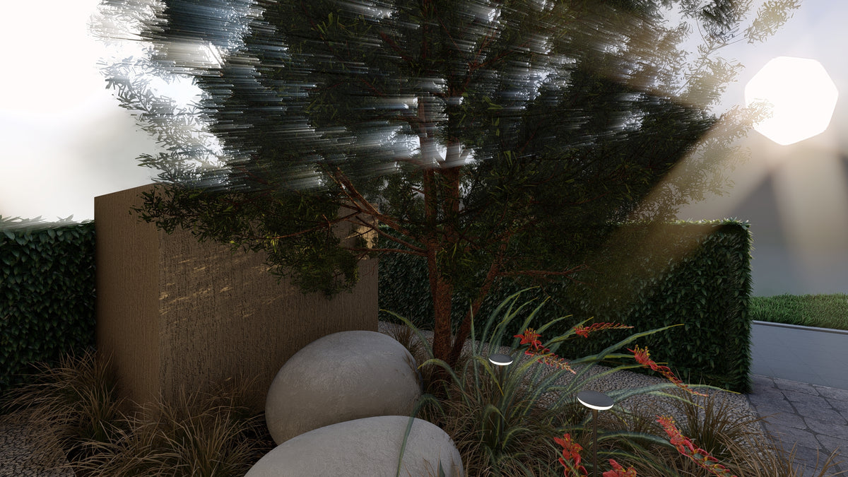 Sheltered Light