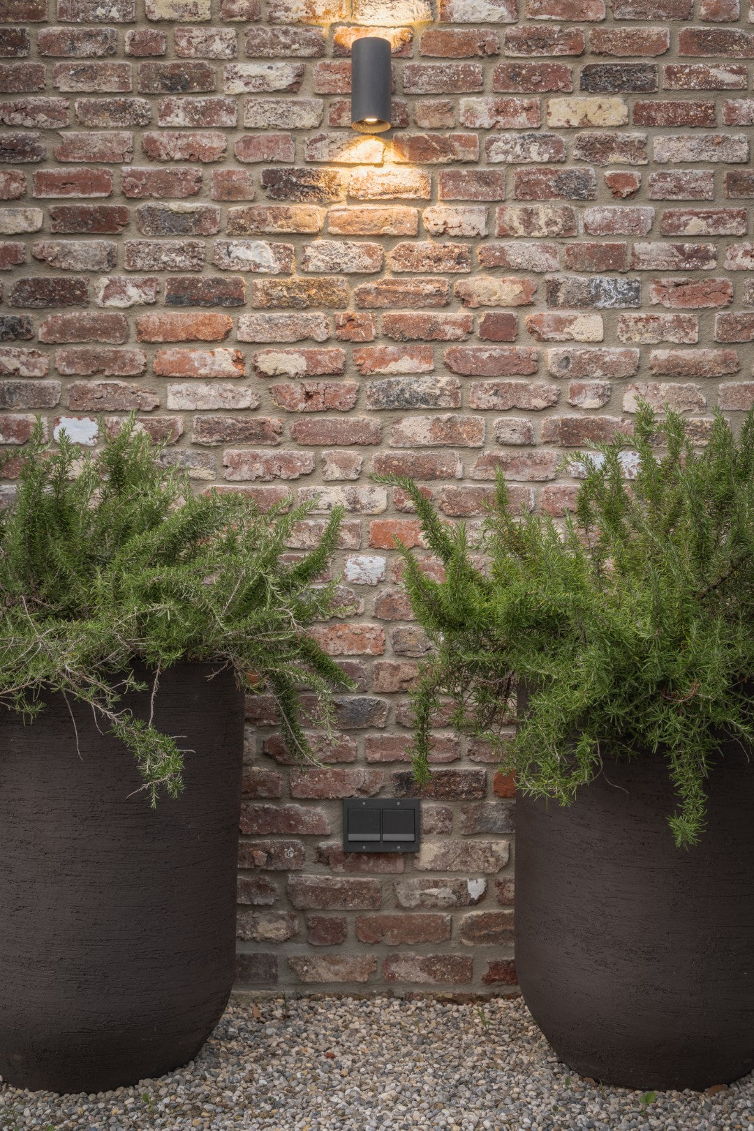 Statement Garden