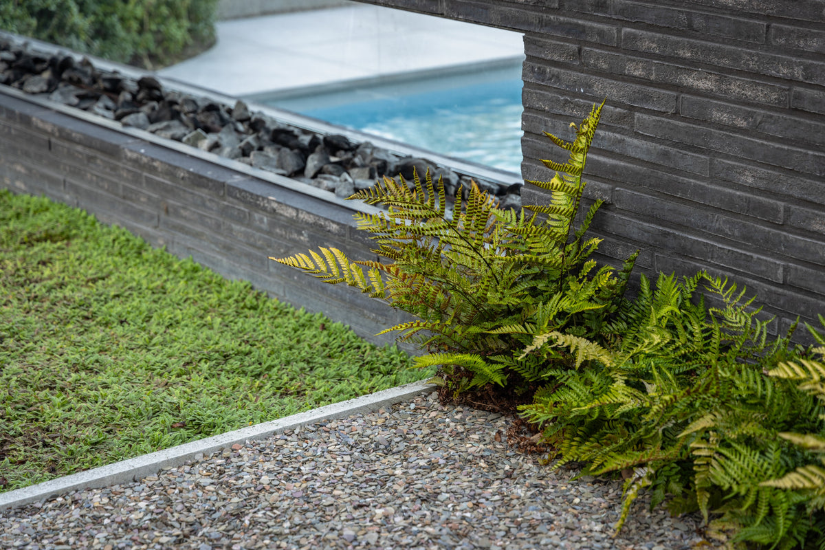 Villatuin met Allure
